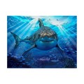 Trademark Fine Art Howard Robinson 'Stalking Shark' Canvas Art, 35x47 ALI23986-C3547GG
